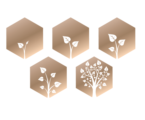 Maturity-Model-right-image